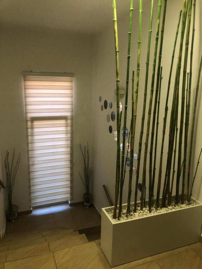 Apartments Dunja โนวีซาด ภายนอก รูปภาพ